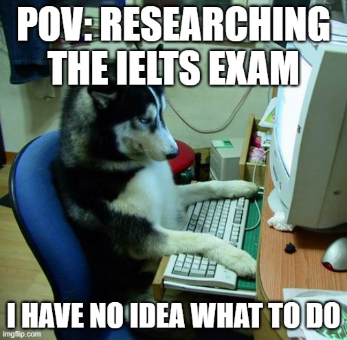 New to IELTS Meme with confused dog at computer